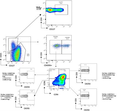 Highly sensitised individuals present a distinct Treg signature compared to unsensitised individuals on haemodialysis